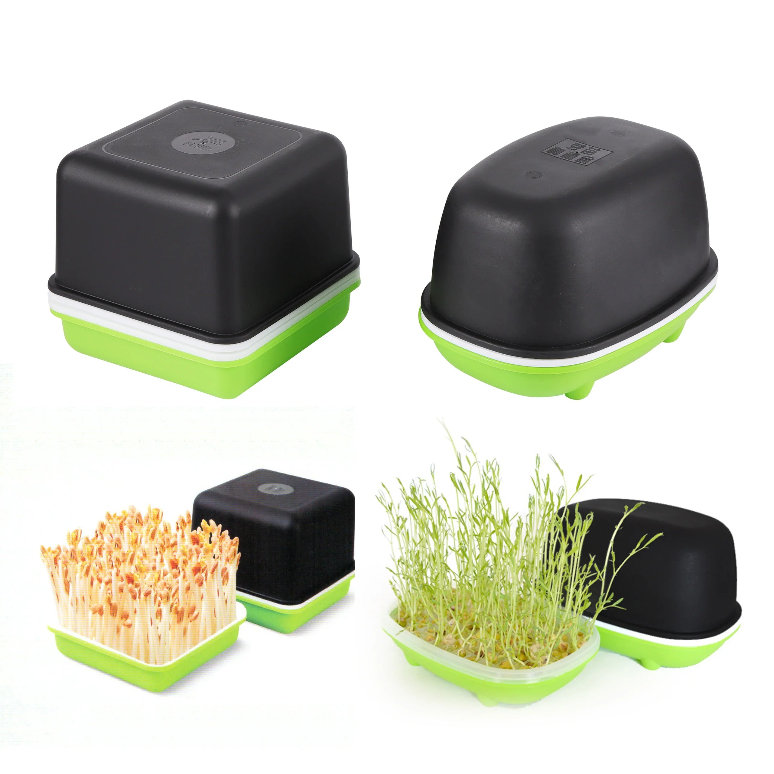 Redécouvrez la fraîcheur à domicile grâce à une germination hydroponique innovante