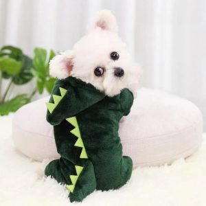 Offrez à Votre Compagnon un Style Unique pour l’Hiver : Le Manteau Dinosaure pour Chien et Chat