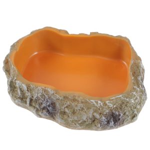 Offrez un cadre optimal à vos reptiles avec ce bol décoratif en résine durable