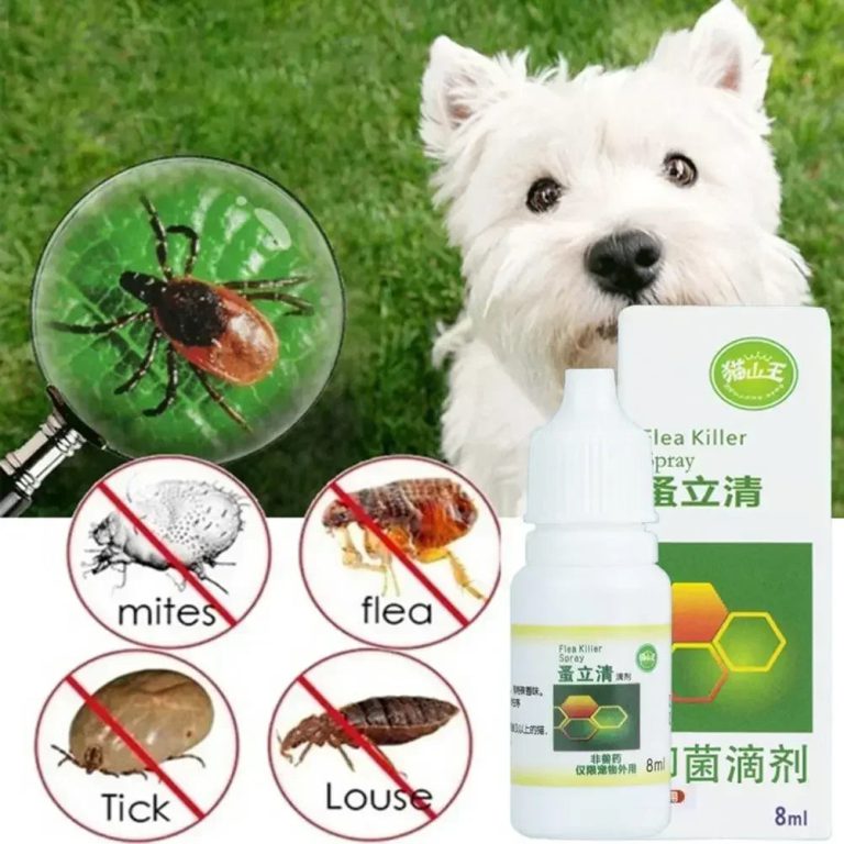 Protection Douce et Efficace pour Chiots et Chatons : Offrez le Meilleur à Vos Compagnons