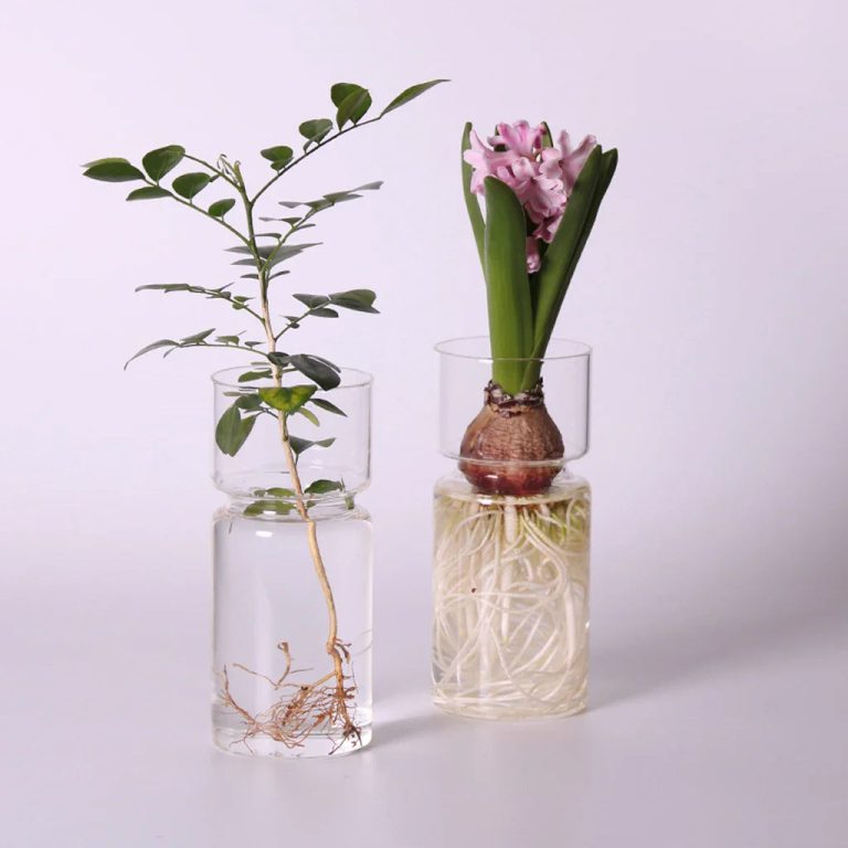 L'élégance moderne : Sublimez votre intérieur avec le vase en verre MagiDeal