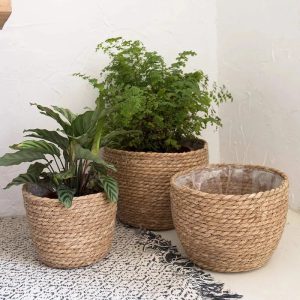 Embellissez Votre Espace avec Élégance : Le Panier Tressé en Paille pour Plantes