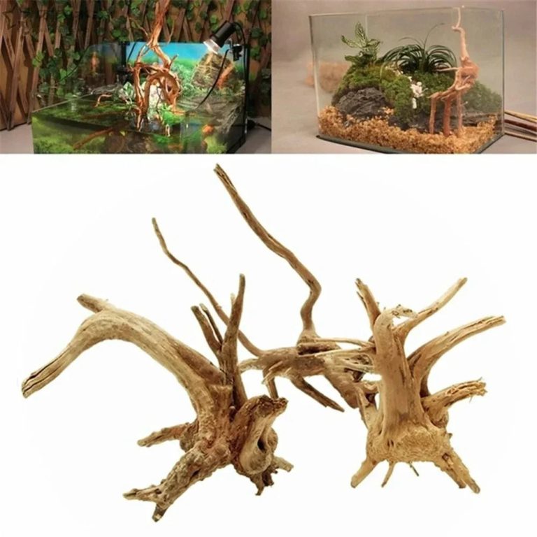 Éveillez la nature dans votre aquarium grâce au charme authentique du driftwood