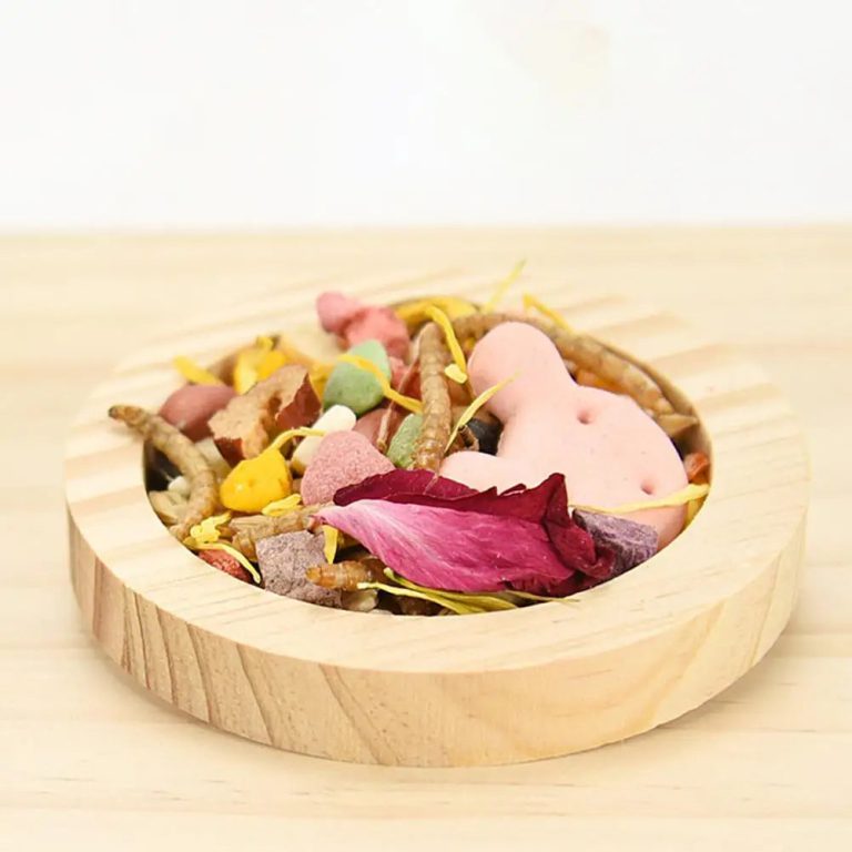Un Repas Élégant pour Votre Petit Compagnon : L'Art du Bol en Bois pour Hamster