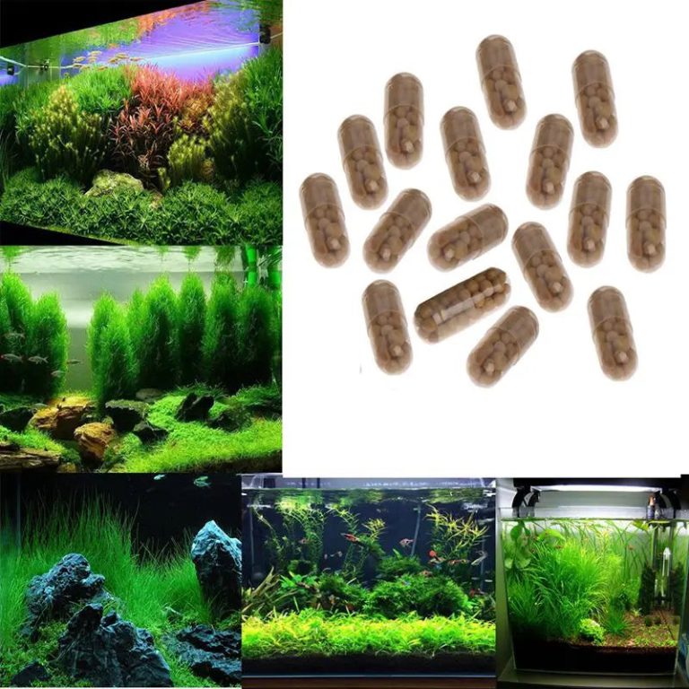 Révolutionnez votre aquarium grâce à un engrais innovant pour plantes aquatiques