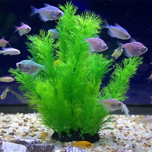 Transformez votre Aquarium en Oasis Vivante avec des Plantes Artificielles de Qualité