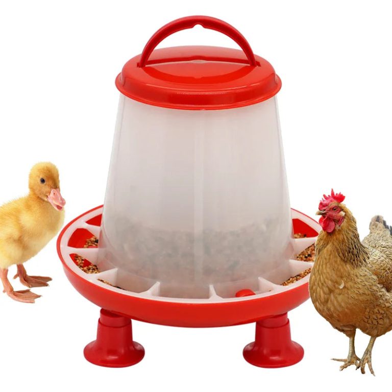 Optimisez l’Alimentation de Vos Volailles avec une Mangeoire Innovante et Hygiénique