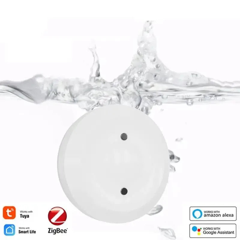 Transformez votre maison en forteresse intelligente grâce à la technologie ZigBee 3.0