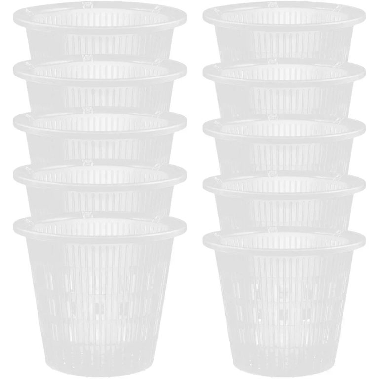 Des racines épanouies et un intérieur verdoyant : l’excellence des pots ventilés pour plantes