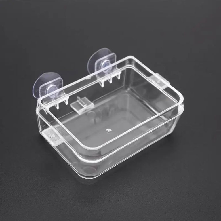 Offrez à Vos Reptiles un Repas en Toute Sécurité et Propreté !