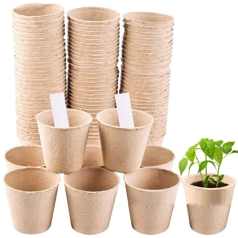 Révélez le Potentiel de Votre Jardin avec des Pots Tourbe Écologiques Innovants