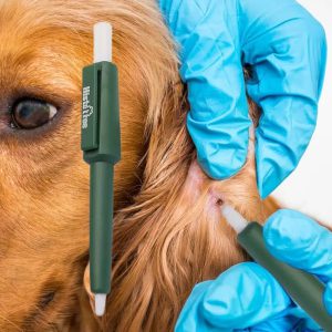 Révolutionnez le soin de vos animaux : Découvrez un outil innovant pour une protection sans faille