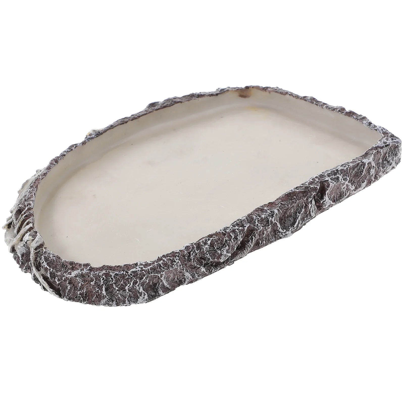 Un accessoire indispensable pour le bien-être de vos reptiles : le bol à eau en résine