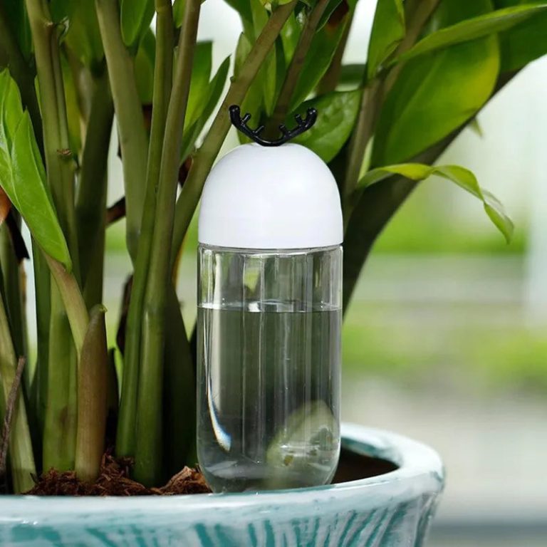 Révolutionnez l'Arrosage de Votre Jardin Grâce à l'Irrigation Goutte à Goutte Innovante