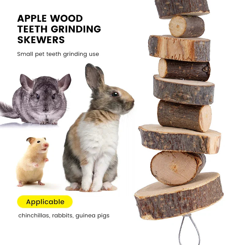 Offrez à Vos Petits Compagnons un Sourire Naturel et Écologique