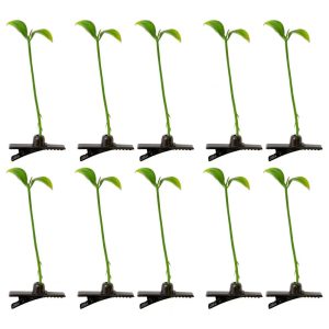 L’Art de Sublimer Votre Coiffure avec une Touche d’Originalité